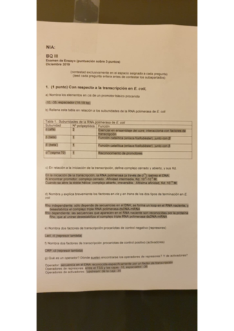 ASSAIGBM1920-correccio.pdf