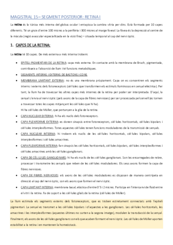 ACMAGISTRAL15catala.pdf