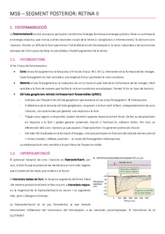 ACMAGISTRAL16catala.pdf