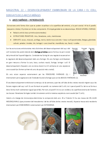 ACMAGISTRAL22catala.pdf