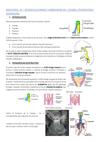 ACMAGISTRAL24catala.pdf