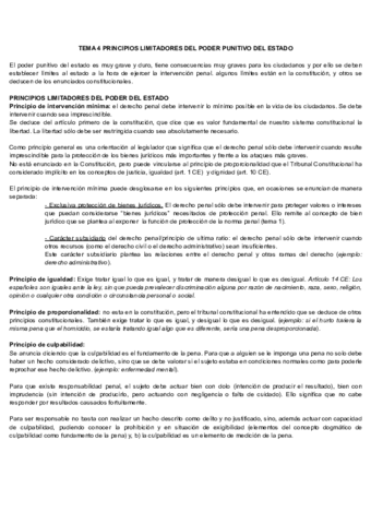 TEMA-4.pdf