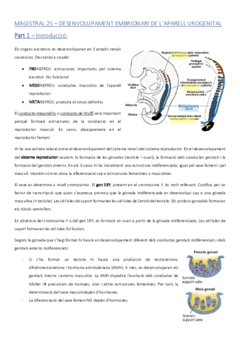 ACMAGISTRAL25catala.pdf