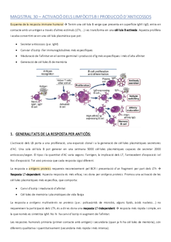 MAGISTRAL-30.pdf