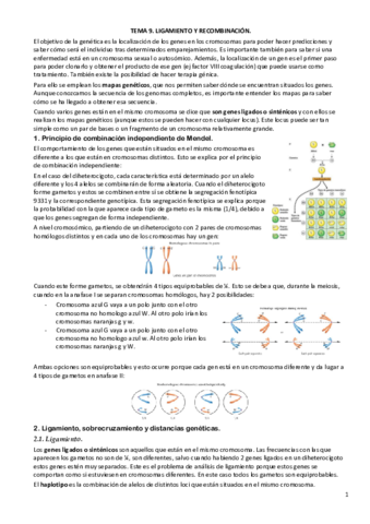 TEMA-9.pdf