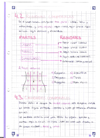 Tema-1-Regiones-cavidades-y-planos-corporales.pdf