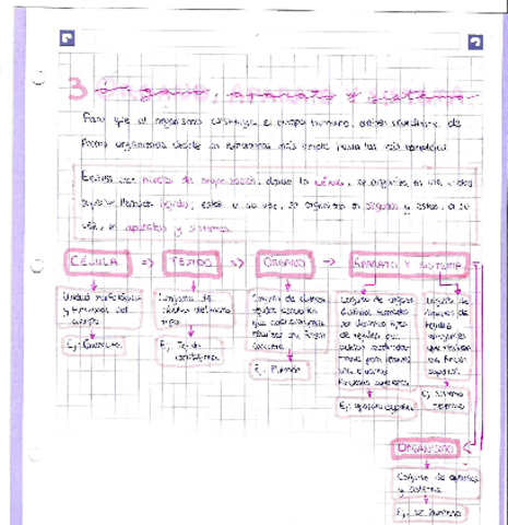 Tema-1-organo-aparto-y-sistema.pdf