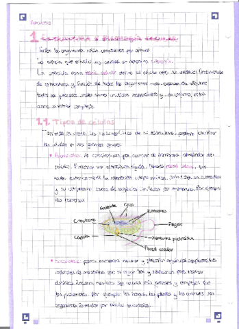 Tema-1-Estructura-y-fisiologia-celular.pdf