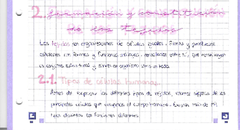 Tema-1-Tejido-epitelial.pdf