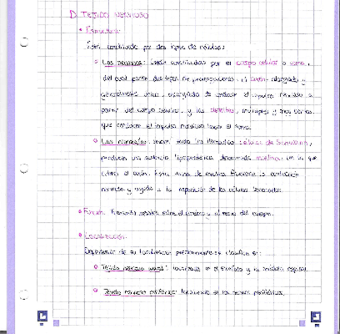 Tema-1-Tejido-nervioso.pdf