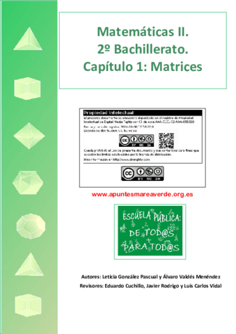 BC2-01-Matrices.pdf