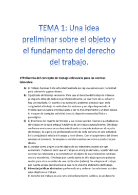 Derecho del trabajo (Apuntes Completos).pdf