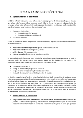 TEMA-5-PROCESO-PENAL.pdf