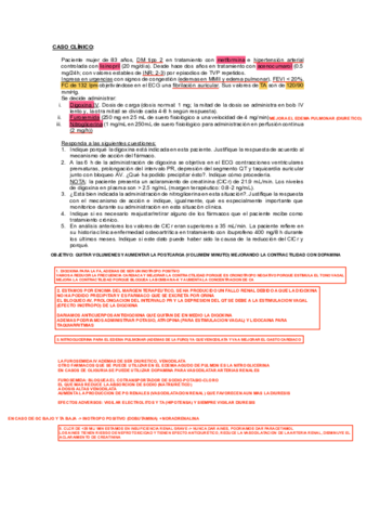 CC-Examen-Digoxina.pdf