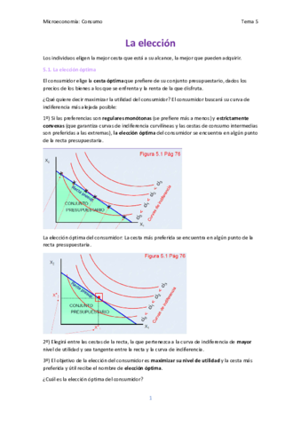 Tema-5-la-eleccion.pdf