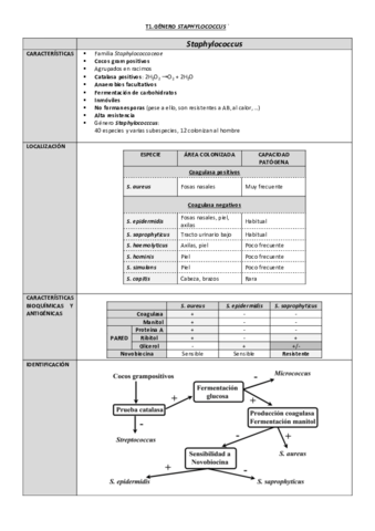 Micro-II-Cele-apuntexs.pdf