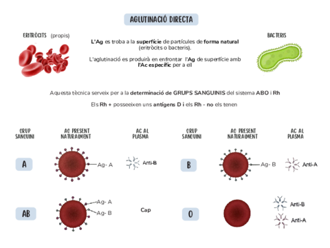 Aglutinacio-directa.pdf
