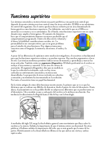 09-Funciones-superiores.pdf
