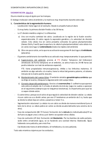 tema-9-SEGMENTACION-IMPLANTACION.pdf