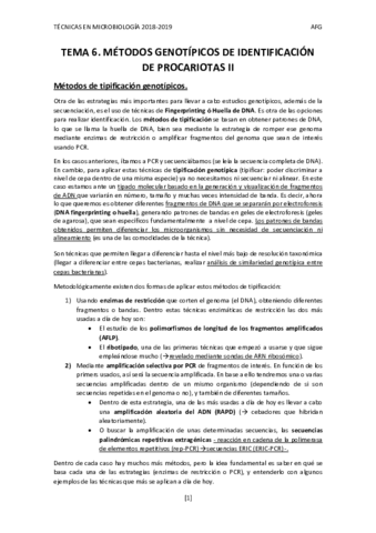 TEMA-6-TM.pdf