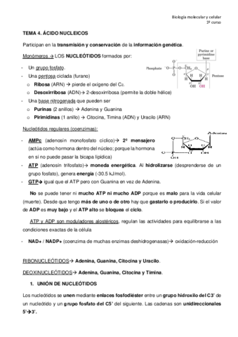 TEMA-4.pdf