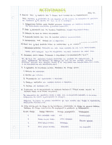 actividades-Tema-4.pdf