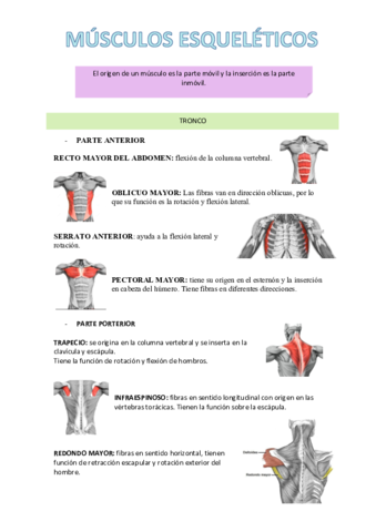 Musculosesqueleticos.pdf