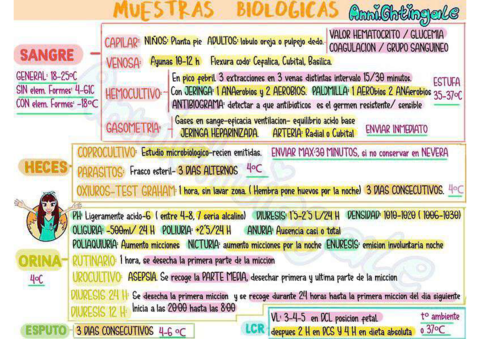 Resumenes-annienightingale-2.pdf