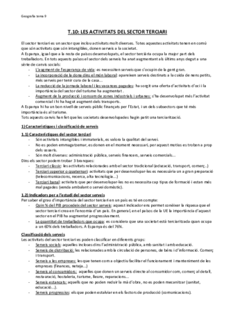 t10-es-activitats-del-sector-terciari.pdf