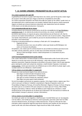 T12-XARXES-URBANES-I-PROBLEMATICA-DE-LA-CIUTAT-ACTUAL.pdf