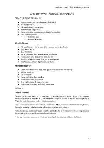 Angiospermas-hoja-perenne.pdf