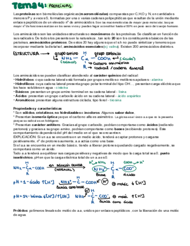 Proteinas-enzimas-vitaminas.pdf