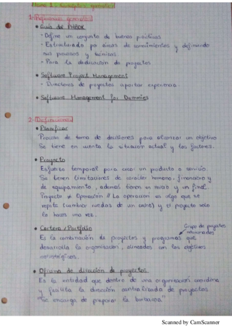 Miniatura del documento tema1 PGPI.pdf