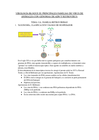 Virologia-bloque-III-Tema-11a.pdf