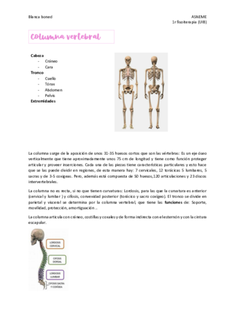 Generalidades-de-la-columna.pdf