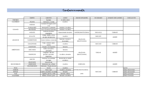 Esquema-circulacion.pdf