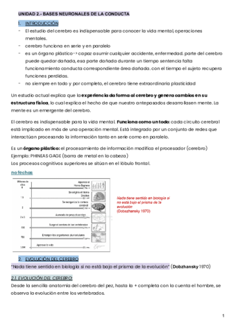 UNIDAD-2.pdf