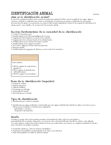 Parte-2-temas-segundo-parcial.pdf