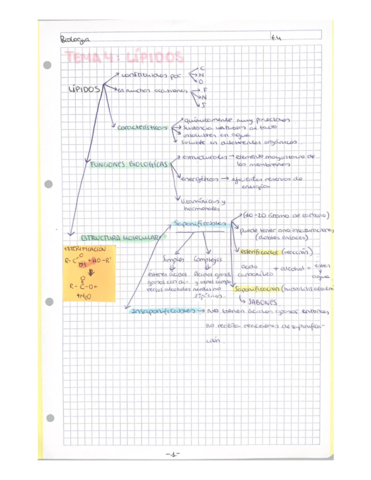 t.5AminoácidosyProteínas