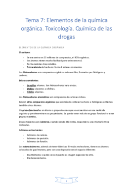Tema 7.pdf