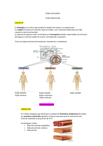 resumen-tejido-muscular.pdf