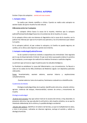 Tema-6.pdf