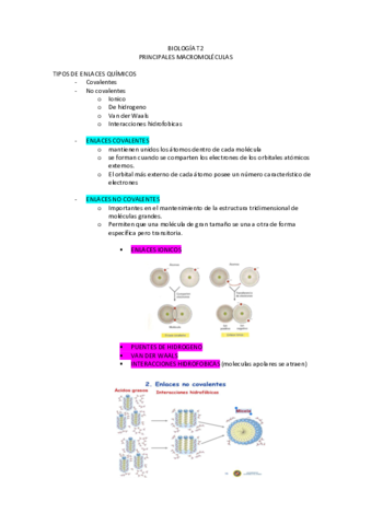 Documento.pdf