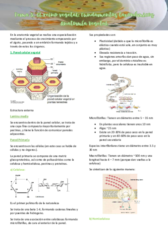 Tema-5-Anatomia-Vegetal-parte-1.pdf