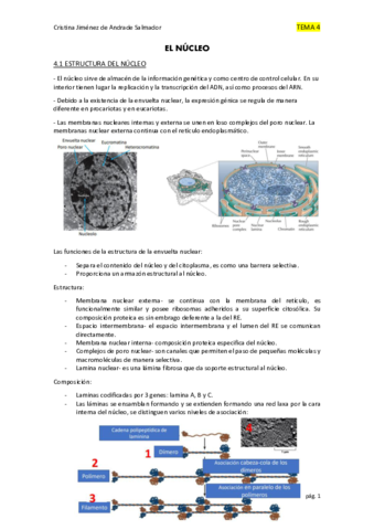 BIOLOGIA-T.pdf