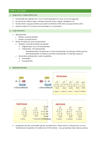 BIOLOGIA-TEMA-2.pdf