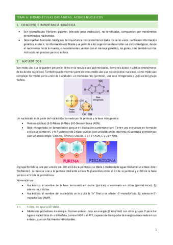 BIOLOGIA-TEMA-6.pdf