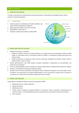 BIOLOGIA-TEMA-14.pdf