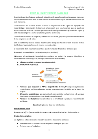 TEMA-12.pdf