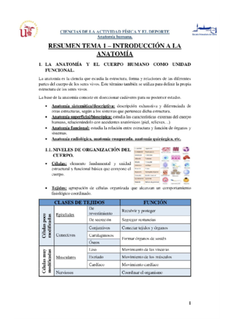 Tema-1-Anatomia.pdf